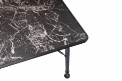 Aralia Lichtgewicht Tafel L